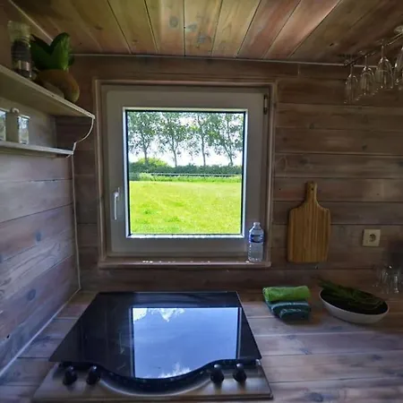 Ferienhaus Tiny In De Polders *