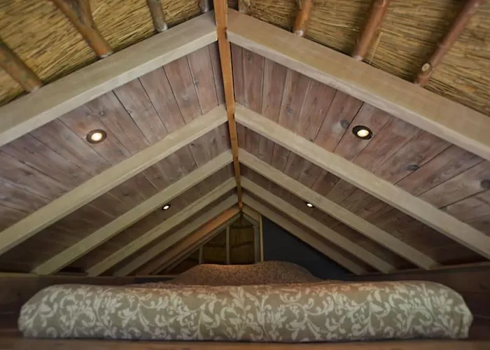 Nyaraló Tiny In De Polders *